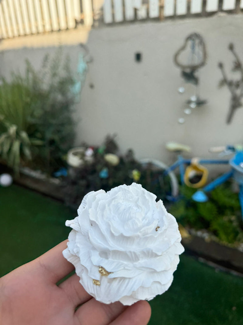 נר דקורטיבי